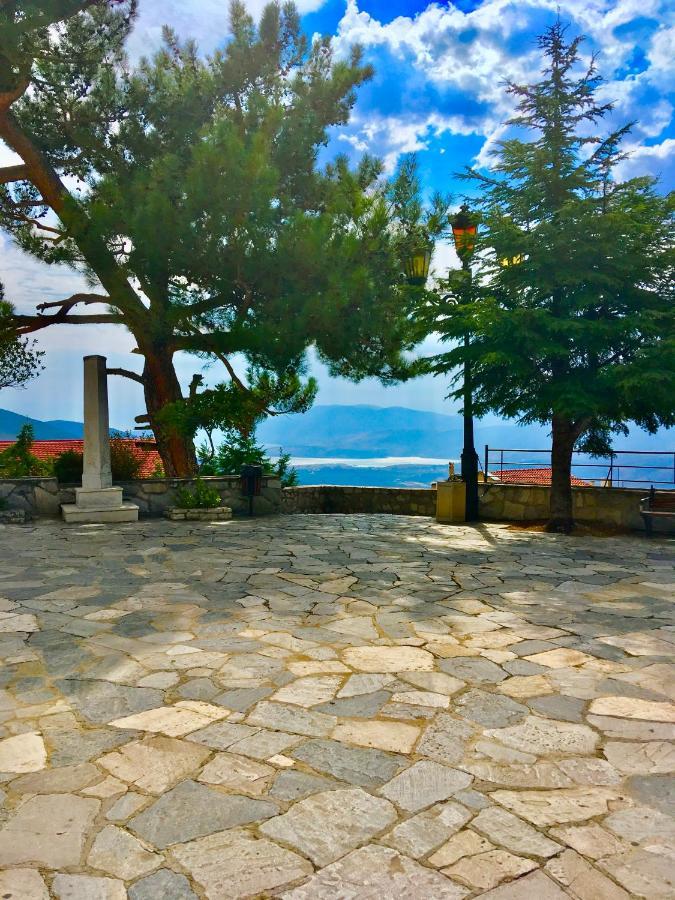 Appartement Delphi Celebrity V I P The Navel Of The Earth, Center-Delphi-Penthouse Galaxy&Sky Panoramic View, Harmony&Yoga Extérieur photo