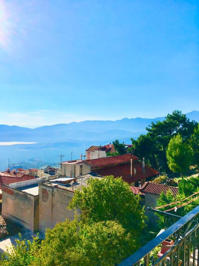 Appartement Delphi Celebrity V I P The Navel Of The Earth, Center-Delphi-Penthouse Galaxy&Sky Panoramic View, Harmony&Yoga Extérieur photo