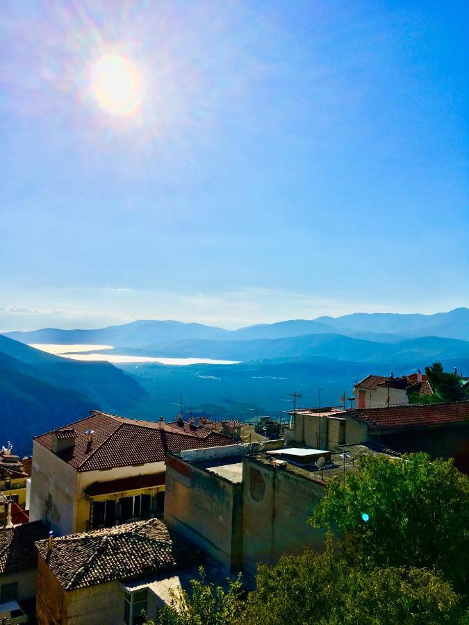 Appartement Delphi Celebrity V I P The Navel Of The Earth, Center-Delphi-Penthouse Galaxy&Sky Panoramic View, Harmony&Yoga Extérieur photo